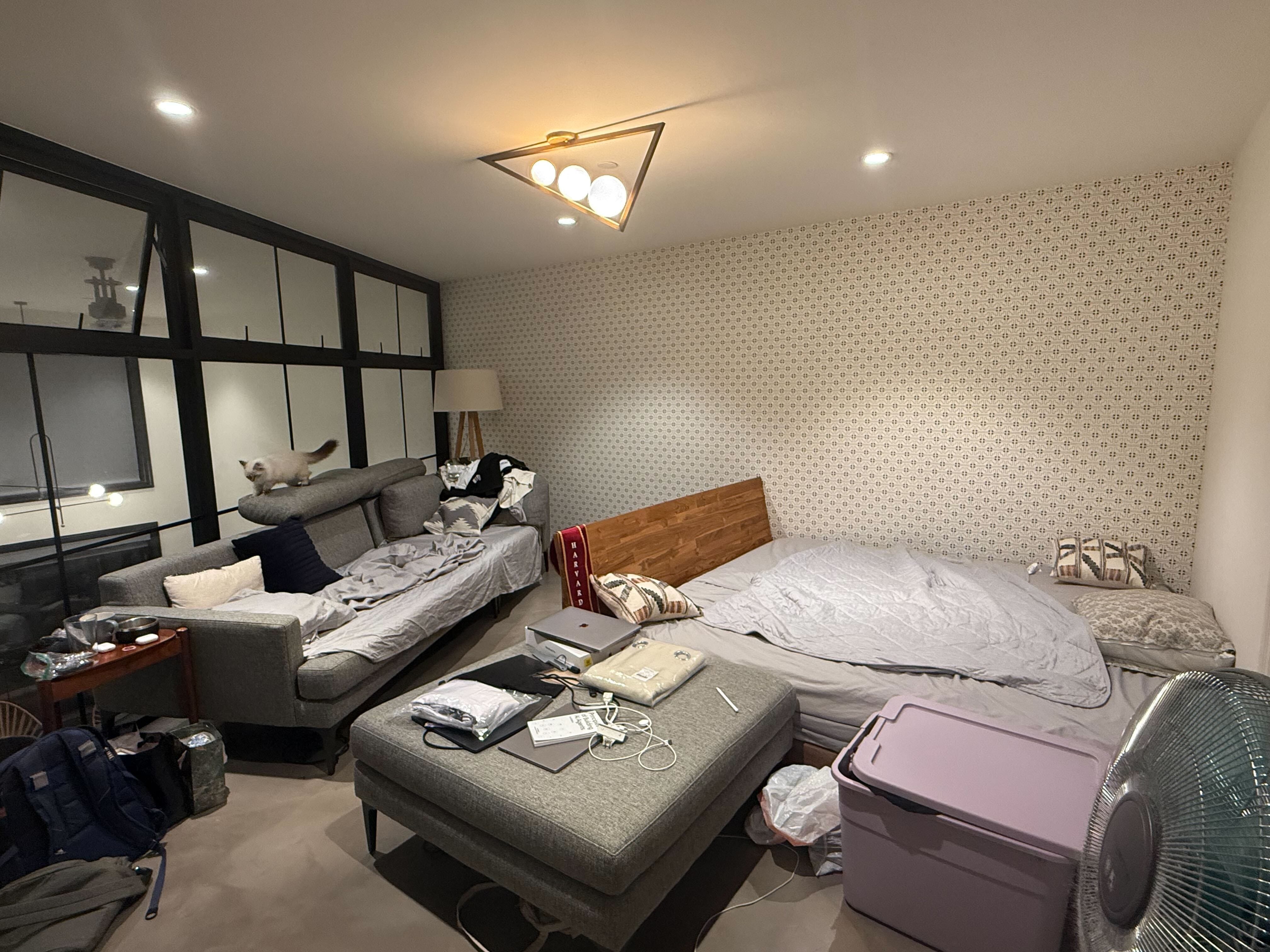 Regina Lin's bedroom, which she shares with her cofounder, is pictured.