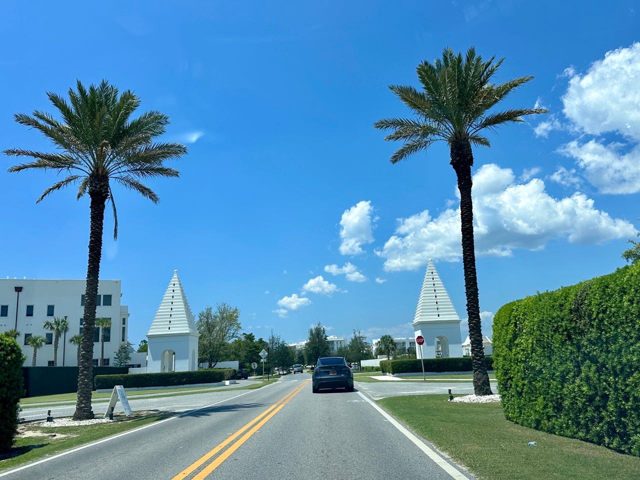 Car on near-empty road with palm trees on either side at Alys Beach