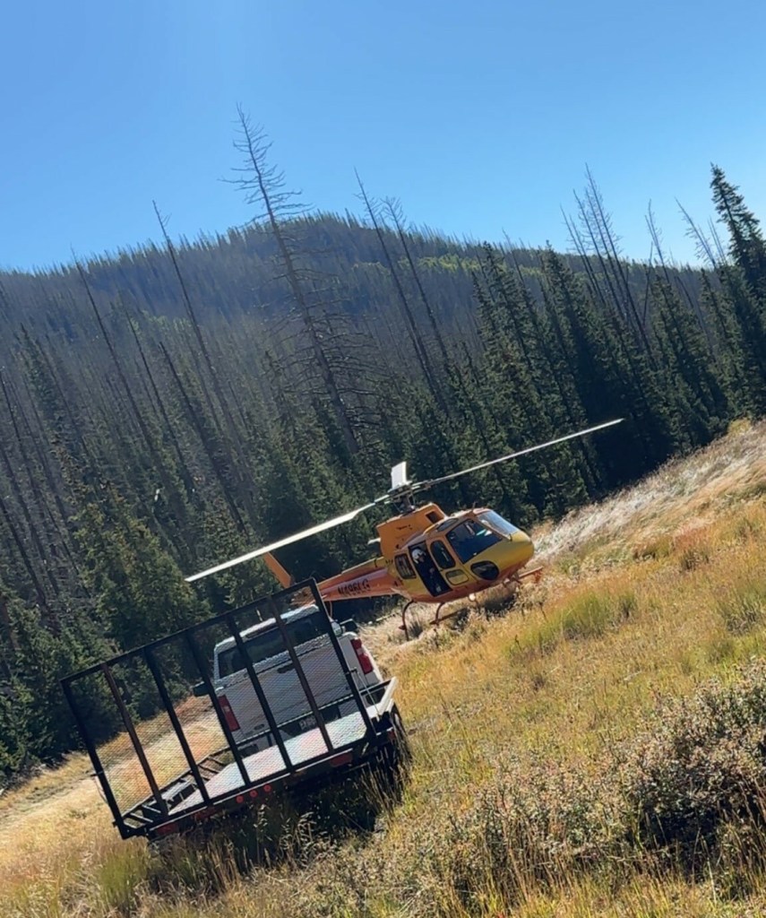 Porter, of Asheville, North Carolina, and Stasko, of Salt Lake City, Utah, showed no obvious signs of trauma, according to a report.