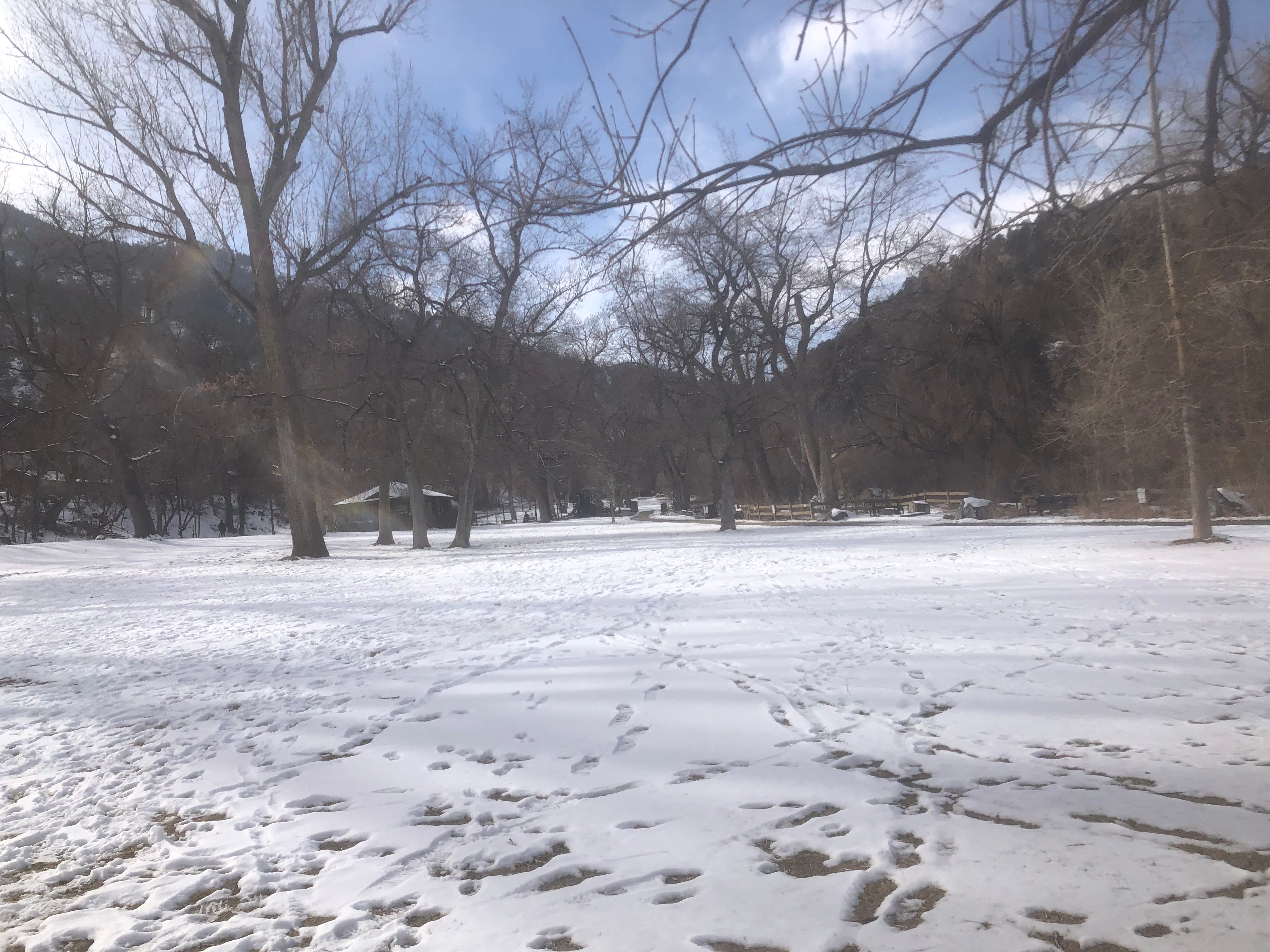 Snow with footprints in it and bare trees behind it in Colorado