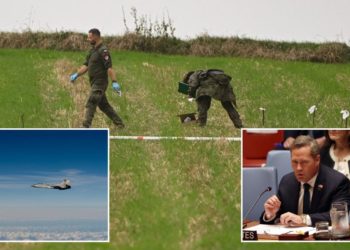 Russia risks ‘expansion’ of war with intrusions into NATO airspace, Waltz says in first public address as UN ambassador