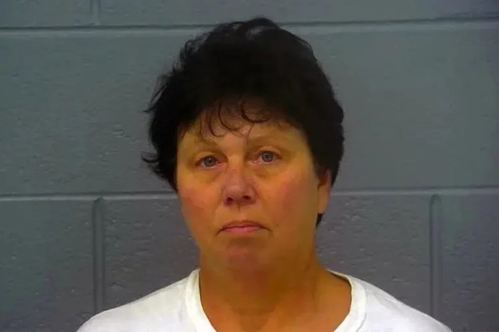 Mugshot of Lisa Jeanine Findley, a 53-year-old woman.