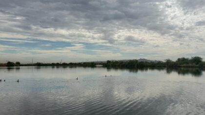How human-made Tres Rios Wetlands fits into Valley's wastewater recycling process