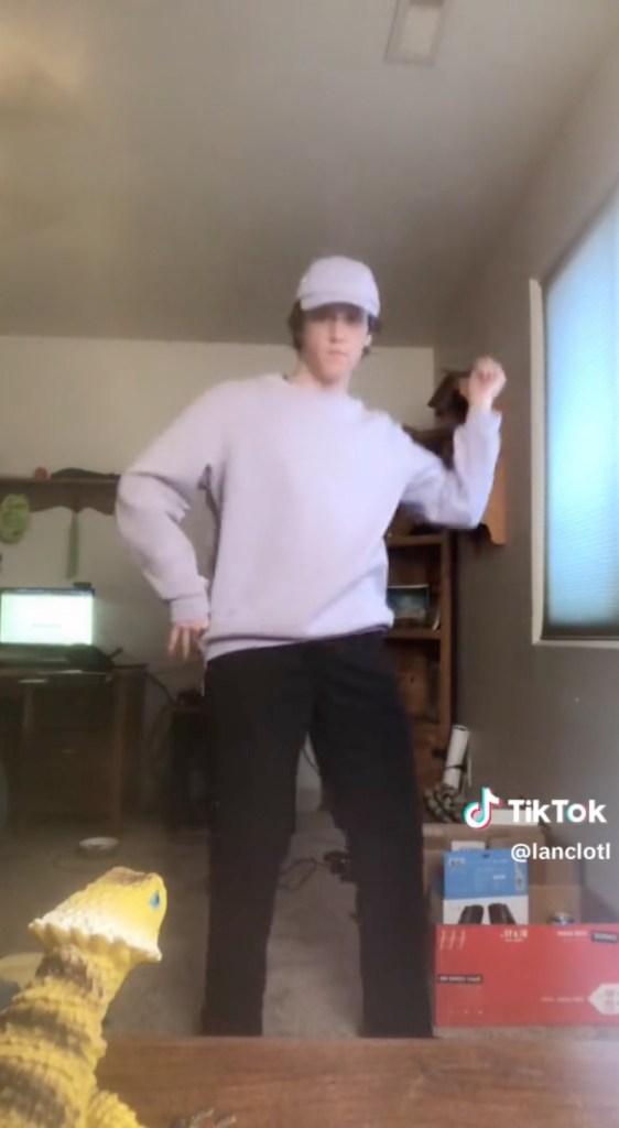 Lance Twiggs dancing in a room, with a toy lizard in the foreground.