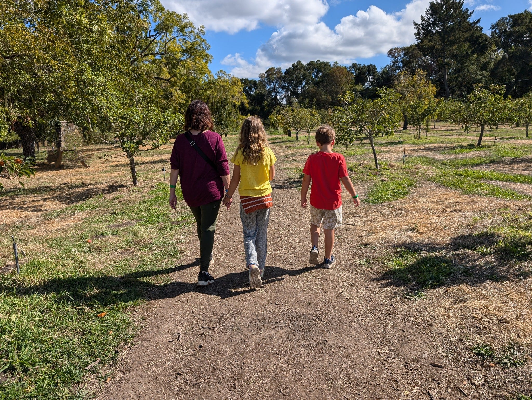 The author explores an orchard with her children