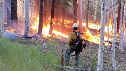 Dragon Bravo Fire moves up in ranking of biggest Arizona wildfires