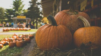 Metro Phoenix events calendar: Fall festivals, haunted houses, state fair and more