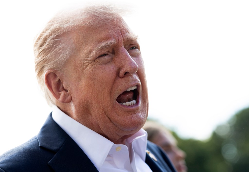 Donald Trump speaks to the media.
