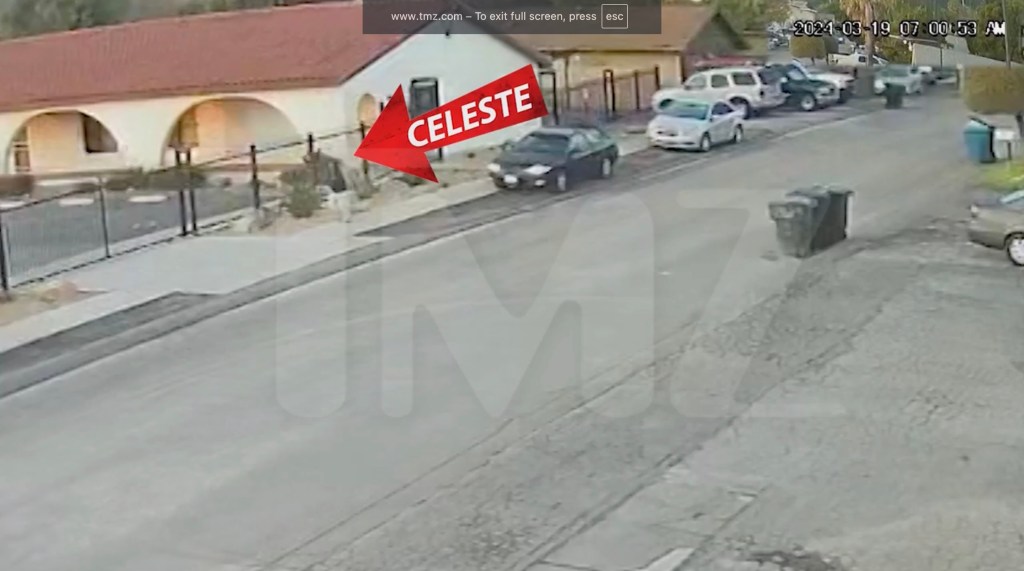 Celeste is seen in a video that was filmed by surveillance cameras from a local liquor store in Lake Elsinore, Calif., that was recorded around 7 a.m. on March 19, 2024.