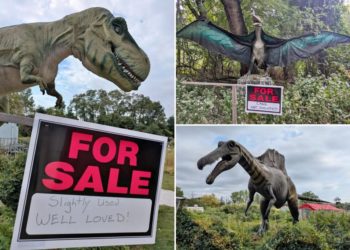 NJ theme park selling life-size dinosaurs — including T. Rex — on Facebook before closing after 14 years