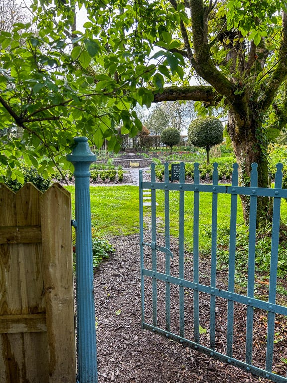 A blue gate into an herb garden.