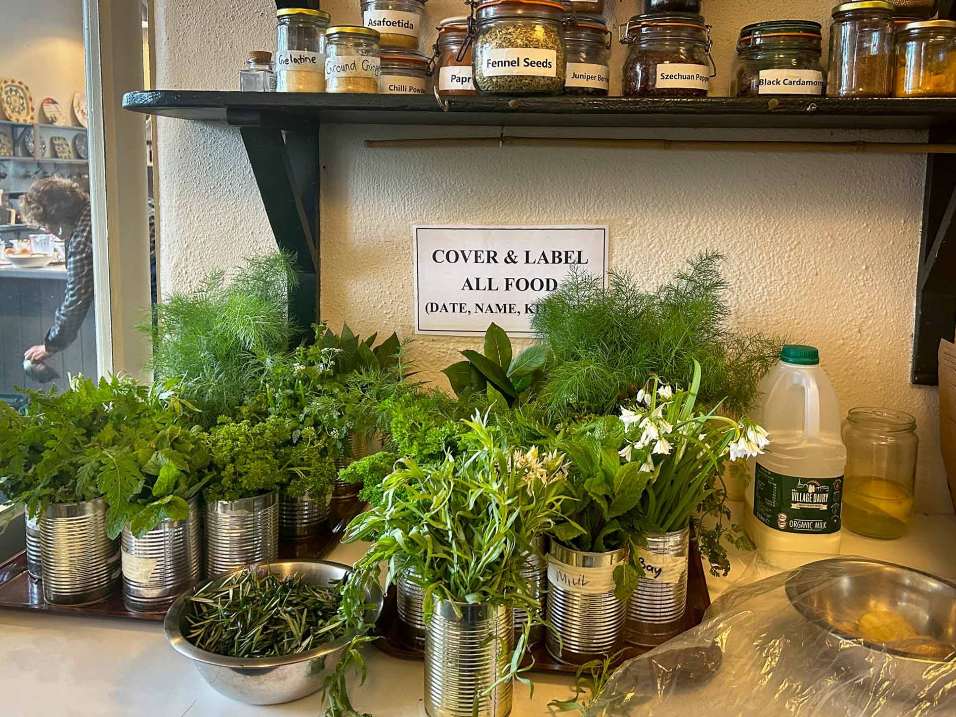 Cans filled with fresh herbs.