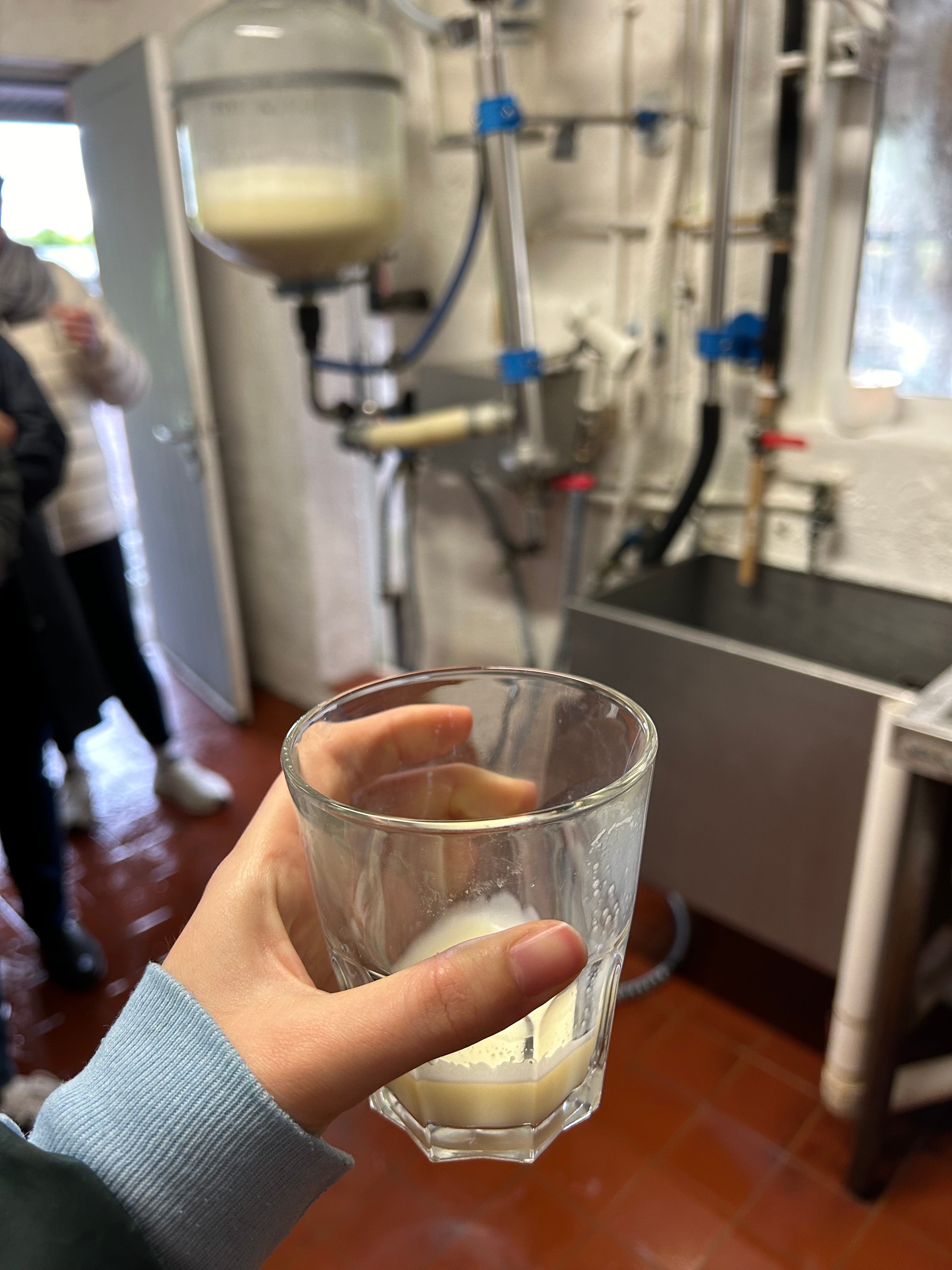 A hand holding a glass of milk.