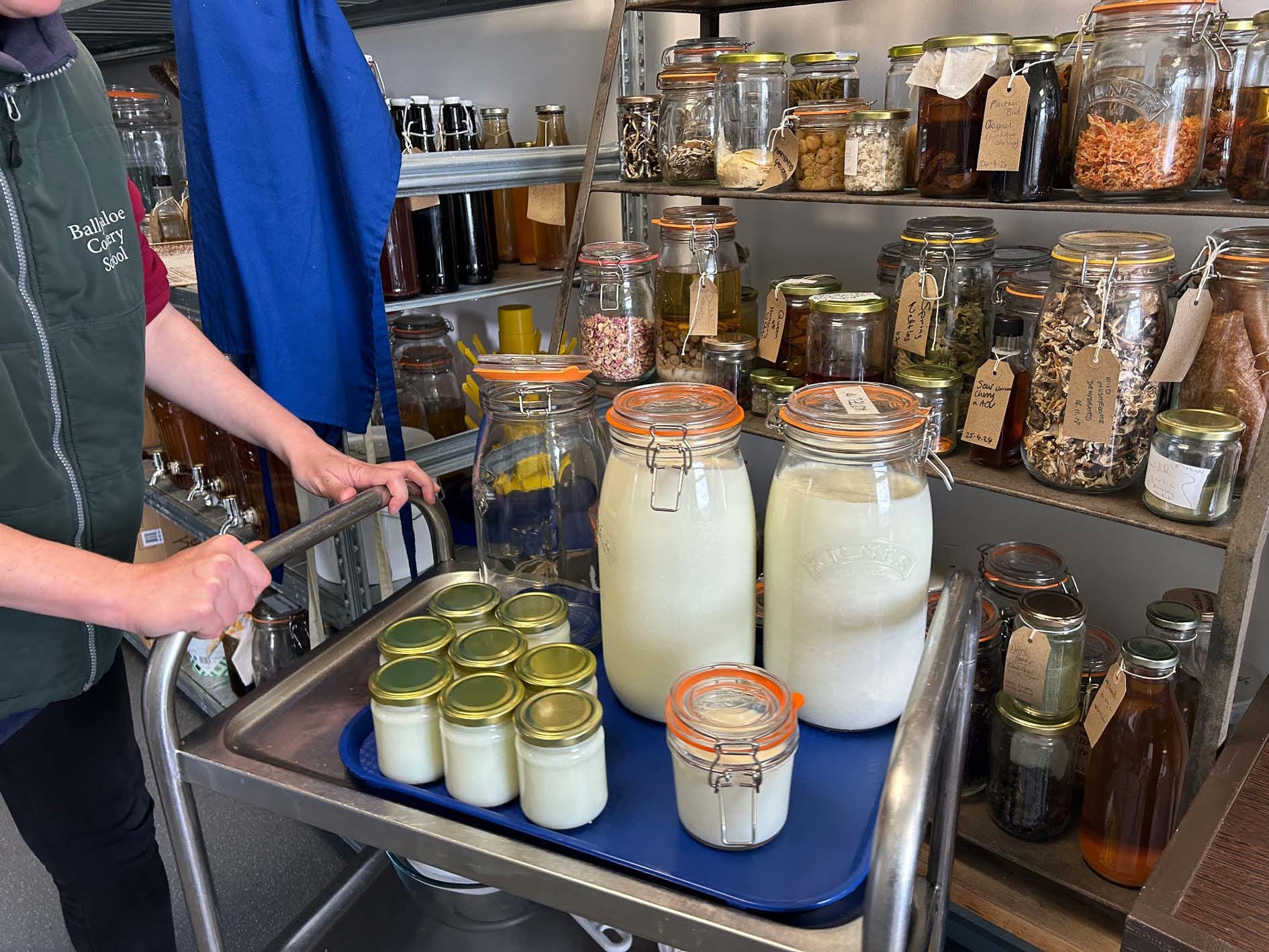 Someone pushing a trolley with jars of yogurt and kefir on it, surrounded by shelves of jars of fermented foods and drinks.
