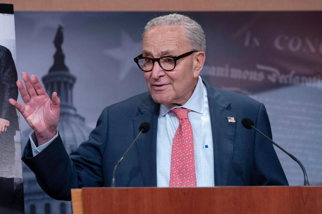 Chuck Schumer speaks during a news conference.