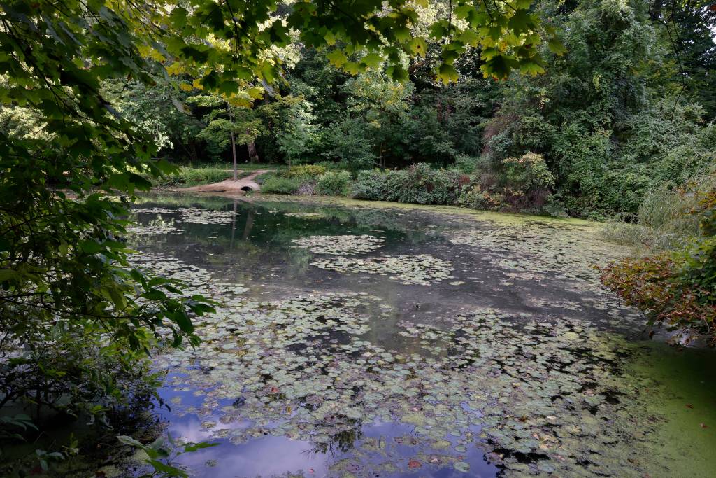 A view of Golden Pond.