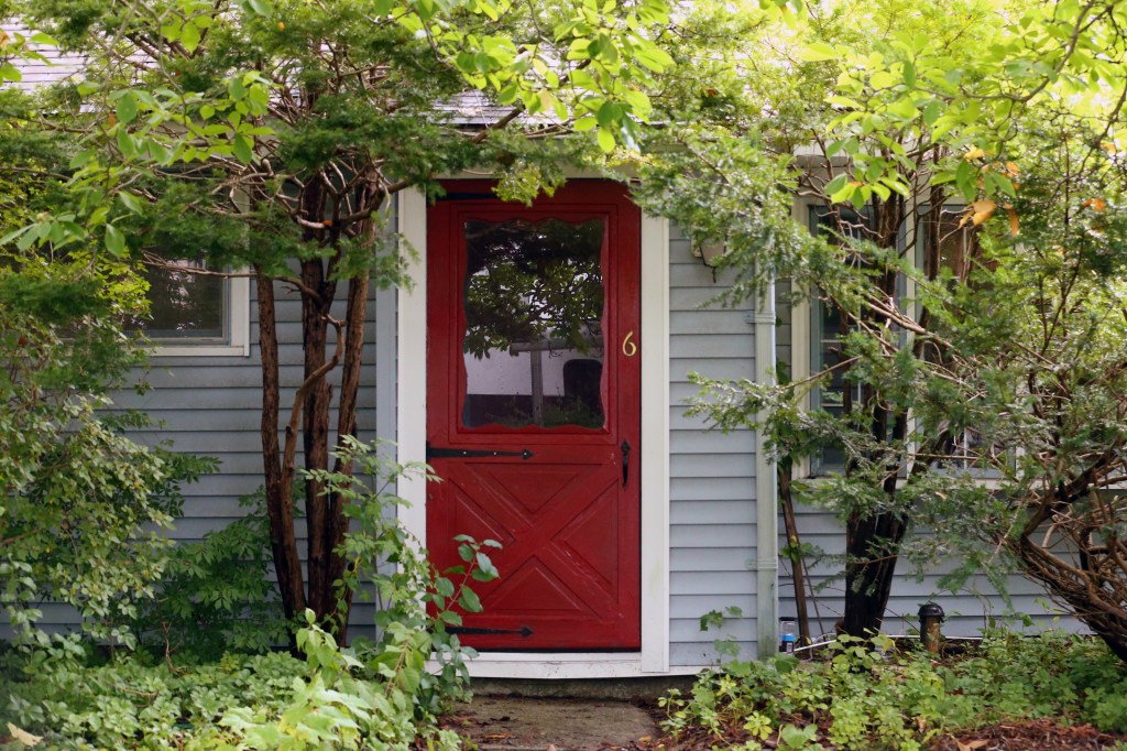 A house with gray siding and a red front door, largely obscured by green trees and bushes.