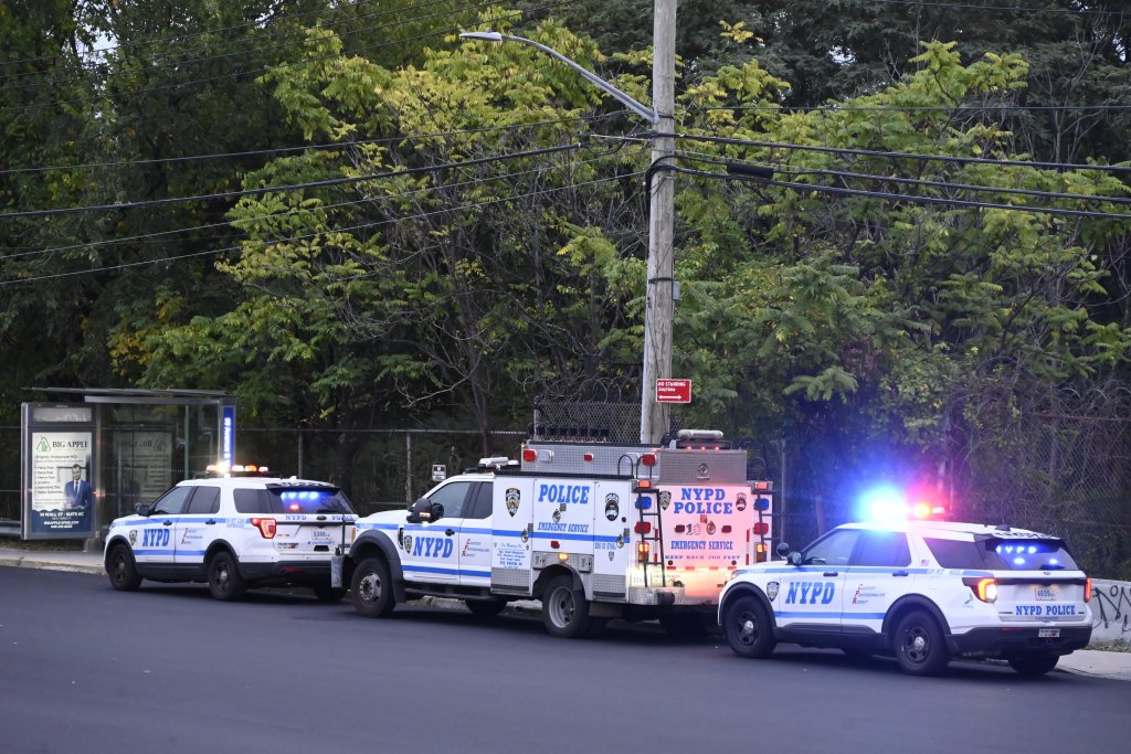 Three NYPD vehicles with flashing lights are parked on a street next to a bus stop and a fence with overgrown trees.