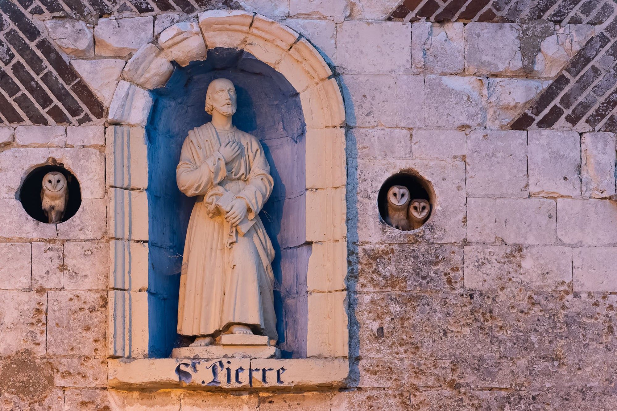 Several owls peer out of niches in a stone wall, beside a statue.