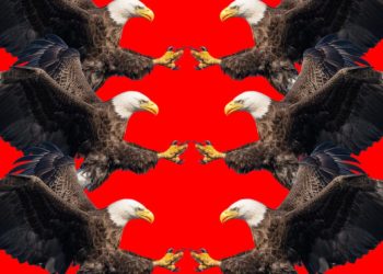 Opinion: Trump’s Generals Speech Proved to Be Dumb, Deluded… and Dangerous