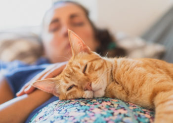6 Science-Backed Ways to Strengthen Your Relationship With Your Cat