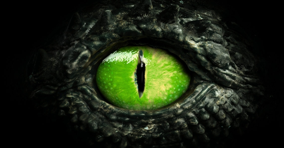 A Rare Brain Condition Made This Woman See Dragons Everywhere