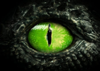 A Rare Brain Condition Made This Woman See Dragons Everywhere