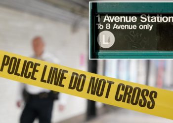 Anti-white attacker pummeled stranger who glanced at her in unprovoked NYC subway assault: cops, sources