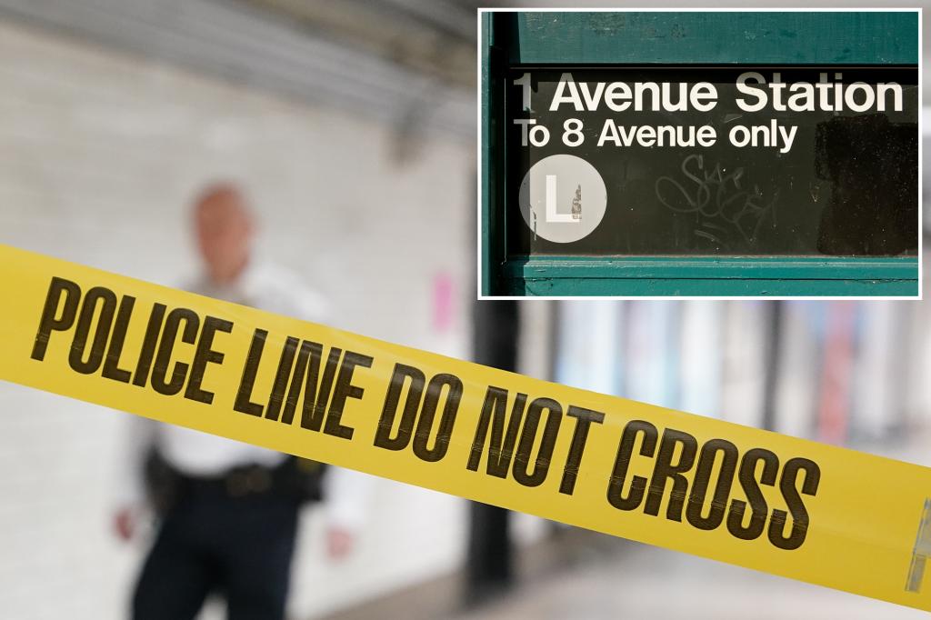 Anti-white attacker pummeled stranger who glanced at her in unprovoked NYC subway assault: cops, sources