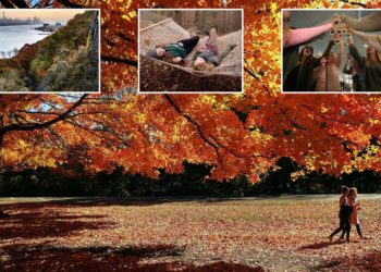 Check out the best places in and near New York to catch picture-perfect fall foliage as leaves hit their peak