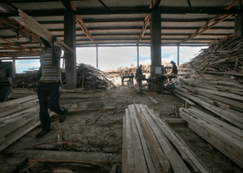 China’s Appetite for Rosewood Is Causing Chaos in Africa