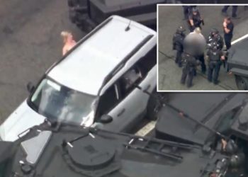 Cops arrest naked woman after four-hour standoff in Los Angeles with dog in car