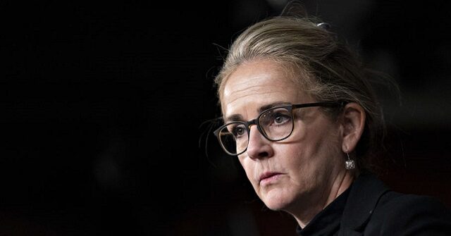 Dem Rep. Dean: Trump Wants Shutdown, Dems Won’t Vote to Avoid Shutdown in Way That Doesn’t ‘Reflect Our Values’