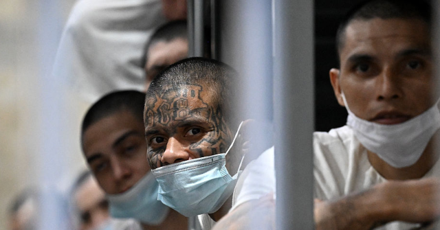 Divided Fifth Circuit Blocks Trump’s Use of Alien Enemies Act for Deportations