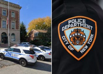 Domestic abuse suspect charged with attacking NYPD cop released without bail over DA’s objection