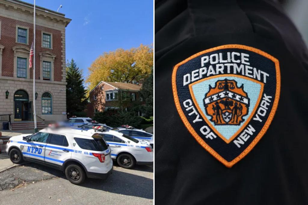Domestic abuse suspect charged with attacking NYPD cop released without bail over DA’s objection