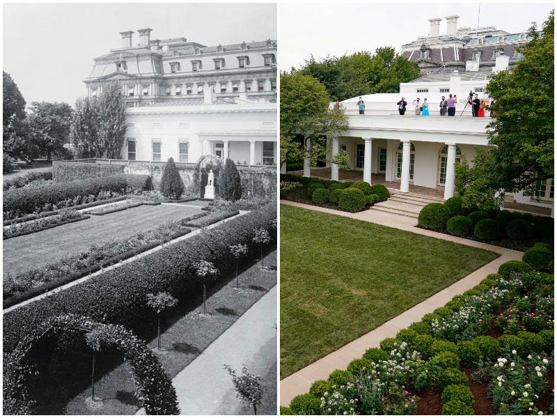 rose garden then and now