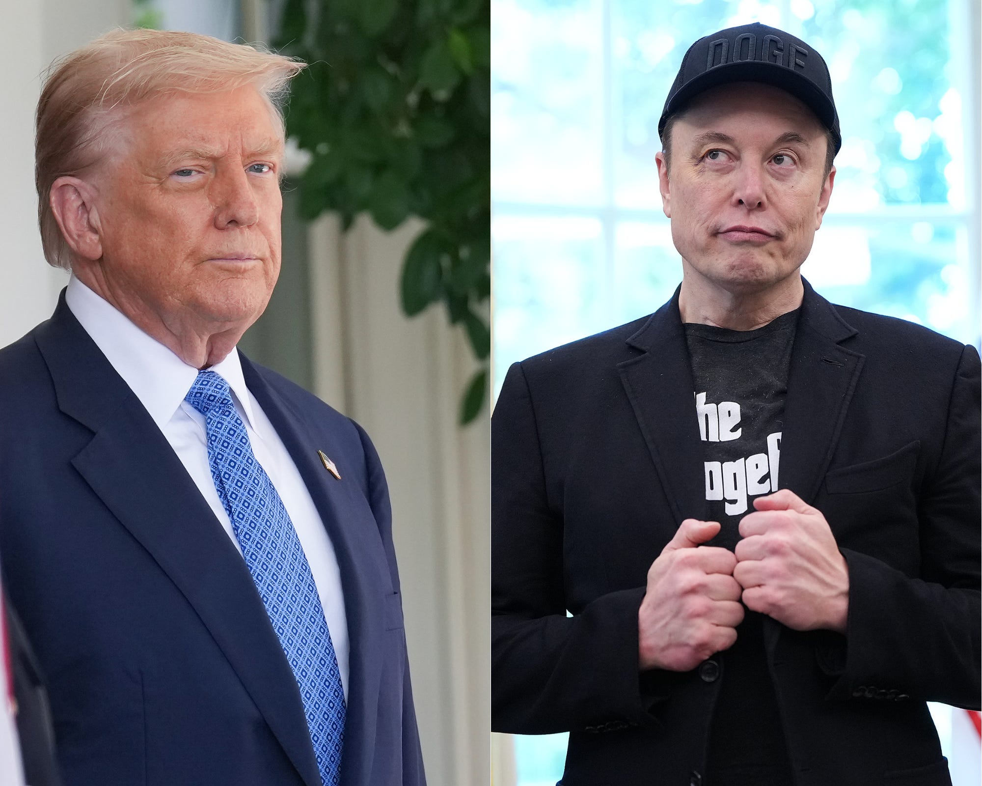 Donald Trump and Elon Musk