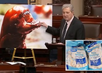 GOP Sen. John Kennedy warns that eating radioactive shrimp could make you ‘grow an extra ear’ or turn into an ‘alien’