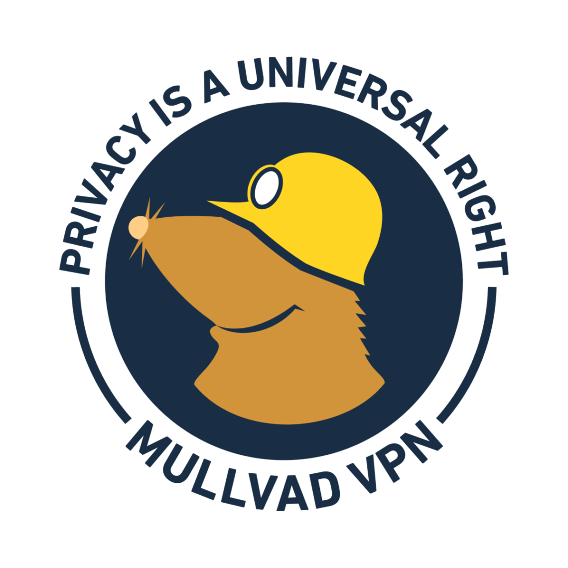 Hey, QUIC! Check Out This New VPN Feature to Avoid VPN Blocks.