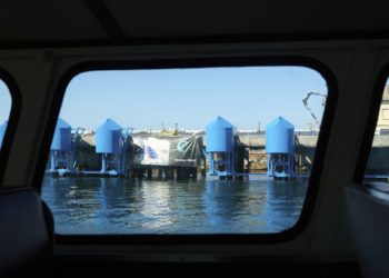 In LA port, bobbing blue floats are turning wave power into clean energy