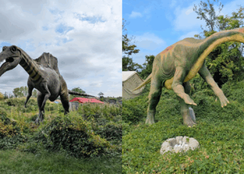 In the Market for Giant Animatronic Dinosaurs? Facebook Has Them.