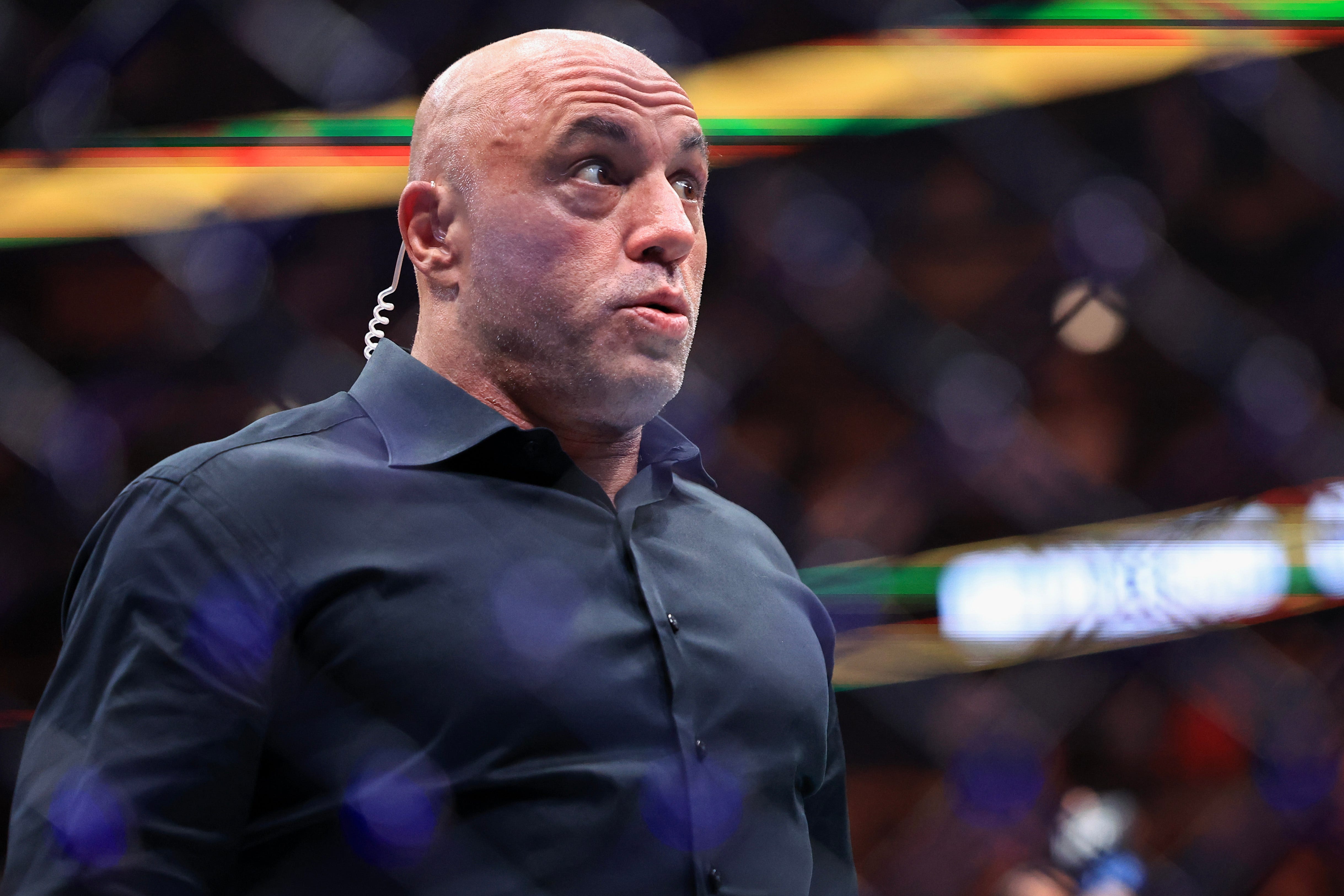 Joe Rogan looks out during a UFC match