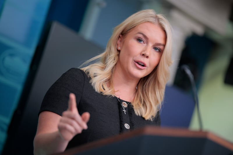 White House Press Secretary Karoline Leavitt speaks during a press briefing in the Brady Press Briefing Room at the White House on August 28, 2025 in Washington, DC.