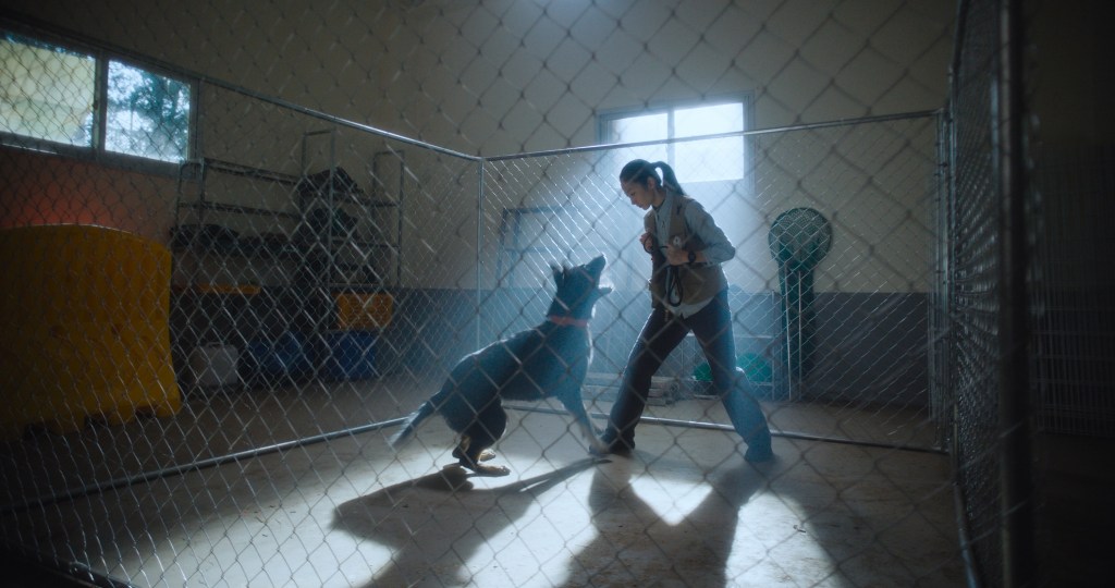 Korea’s Finecut Unveils Three Films On Busan ACFM Slate