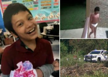 Louisiana hunters find human remains inside alligator captured where missing autistic boy’s body was dredged from lagoon