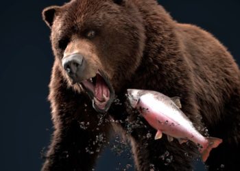 Love Nature, Blue Ant Studios & Big Media Team For ‘Wild Science’