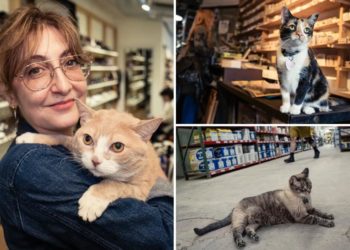 Meet the NYC shop cat working for over a decade — one of dozens of feline workers profiled in new book