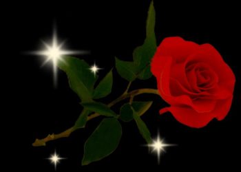 Mexican influencer Esmeralda Ferrer Garibay found dead in Jalisco