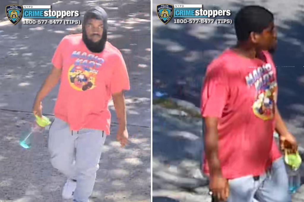 NYC sicko attempted to rape girl, 13, before attacking 15-year-old hours later: cops, sources